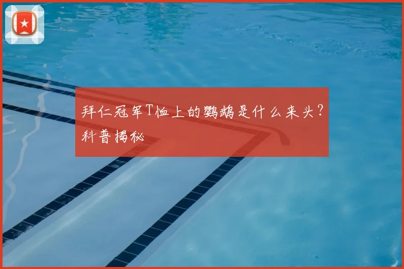 拜仁冠军T恤上的鹦鹉是什么来头？科普揭秘