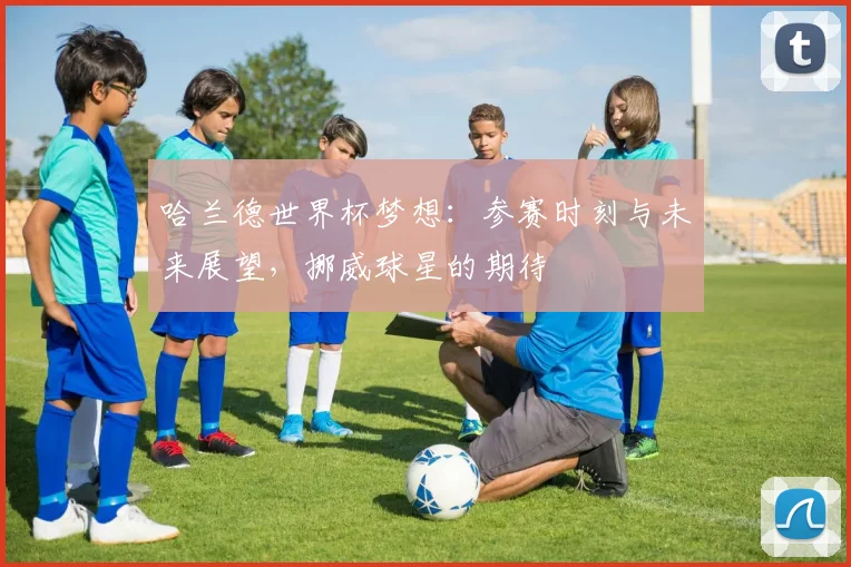 哈兰德世界杯梦想:参赛时刻与未来展望,挪威球星的期待